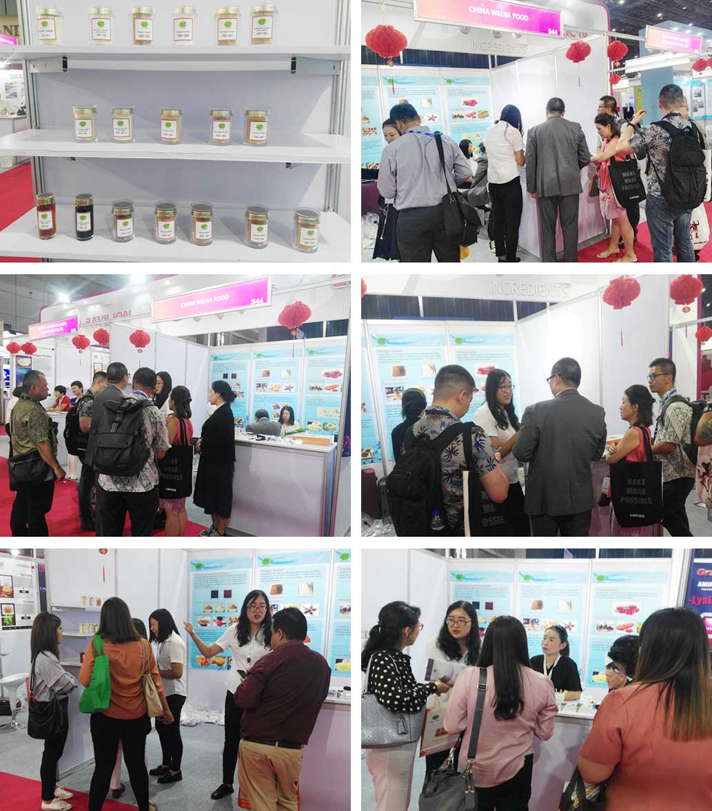 Asia international food ingredients exhibition FiA